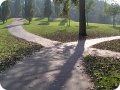 paths