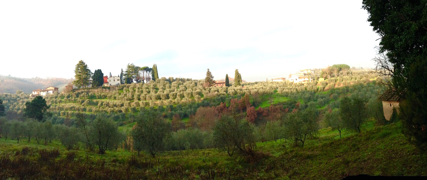 Life on a olive farm